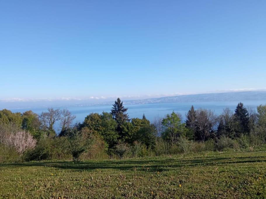 Lugrin Proche Du Lac Et Montagne Экстерьер фото